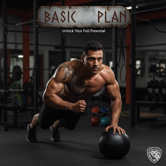 Basic Plan